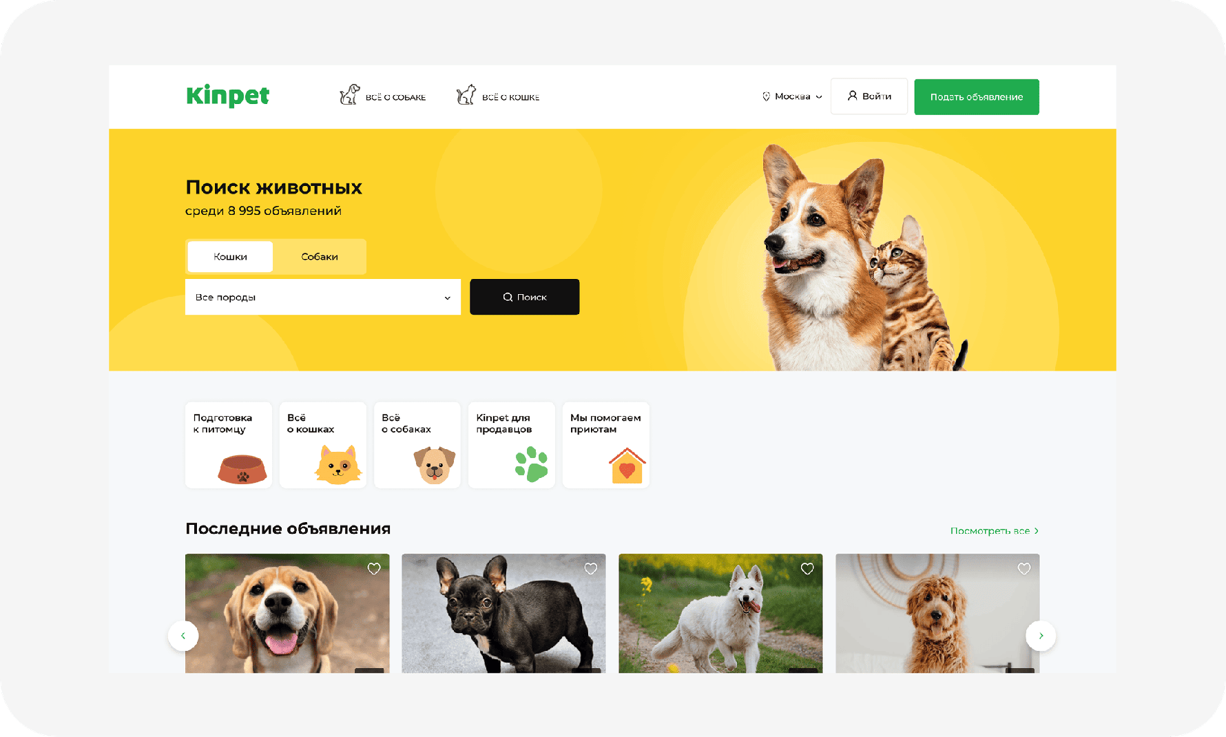 Kinpet — главная до редизайна